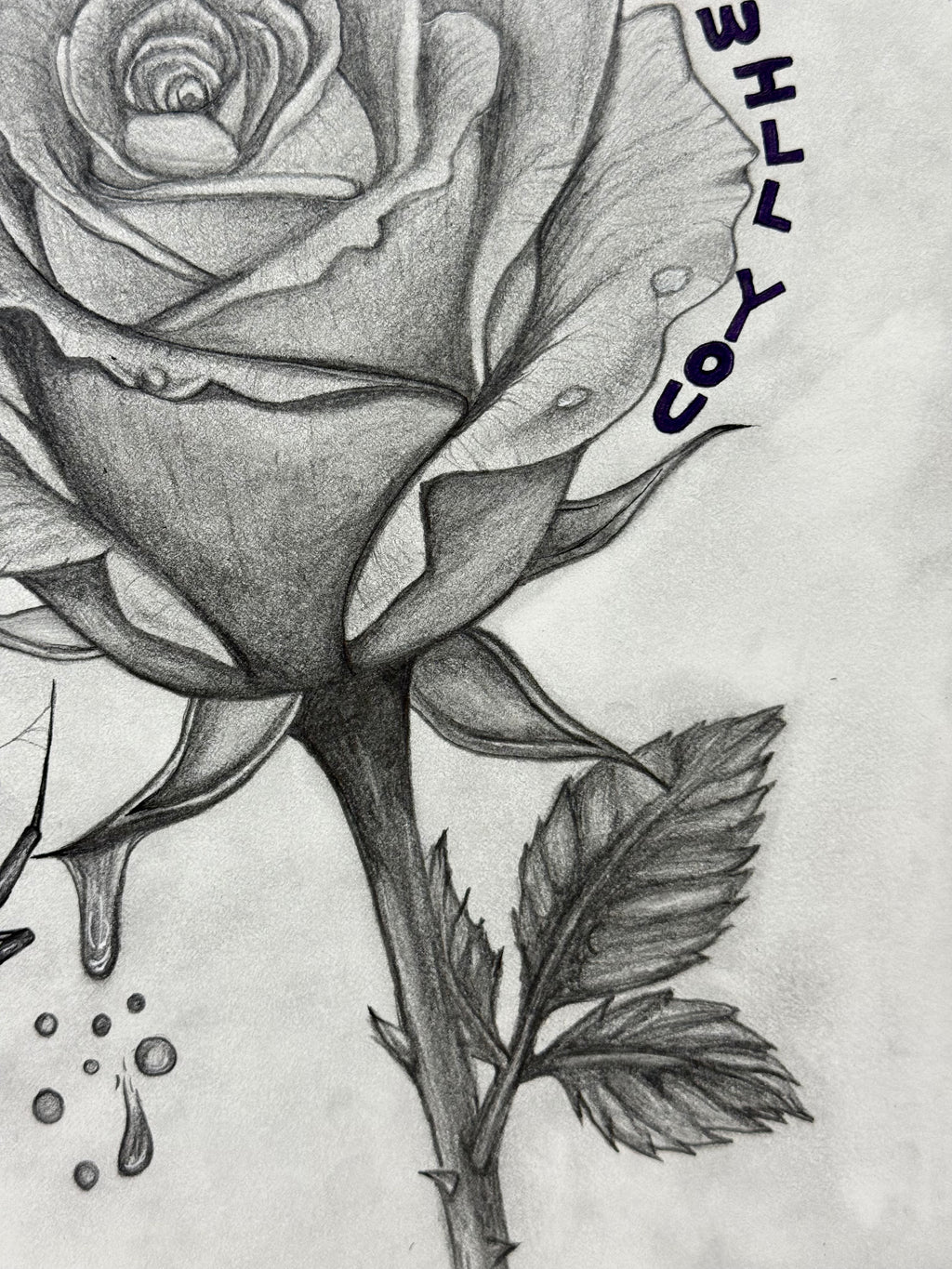 Life Finds A Way Original Drawing