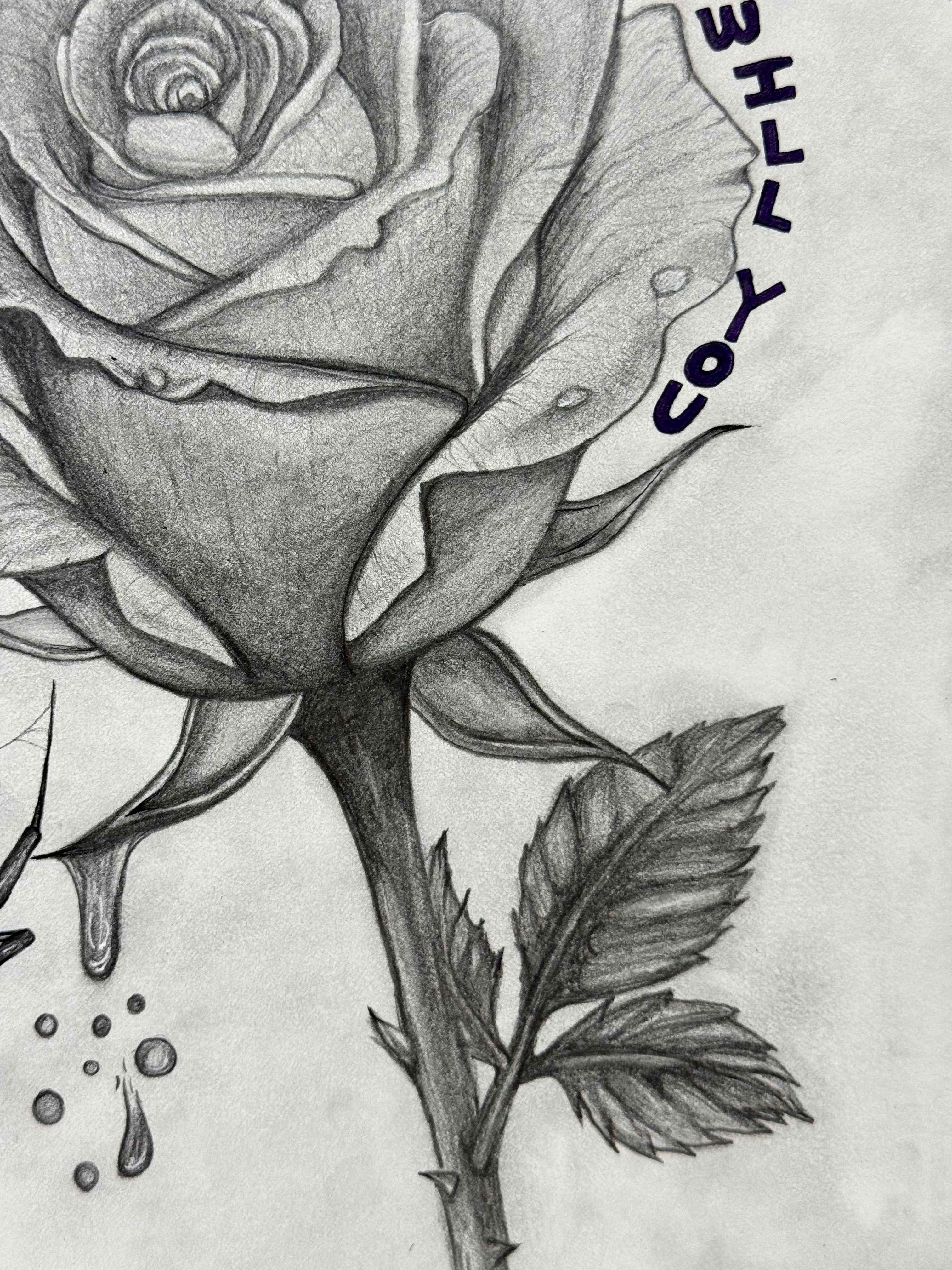 Life Finds A Way Original Drawing