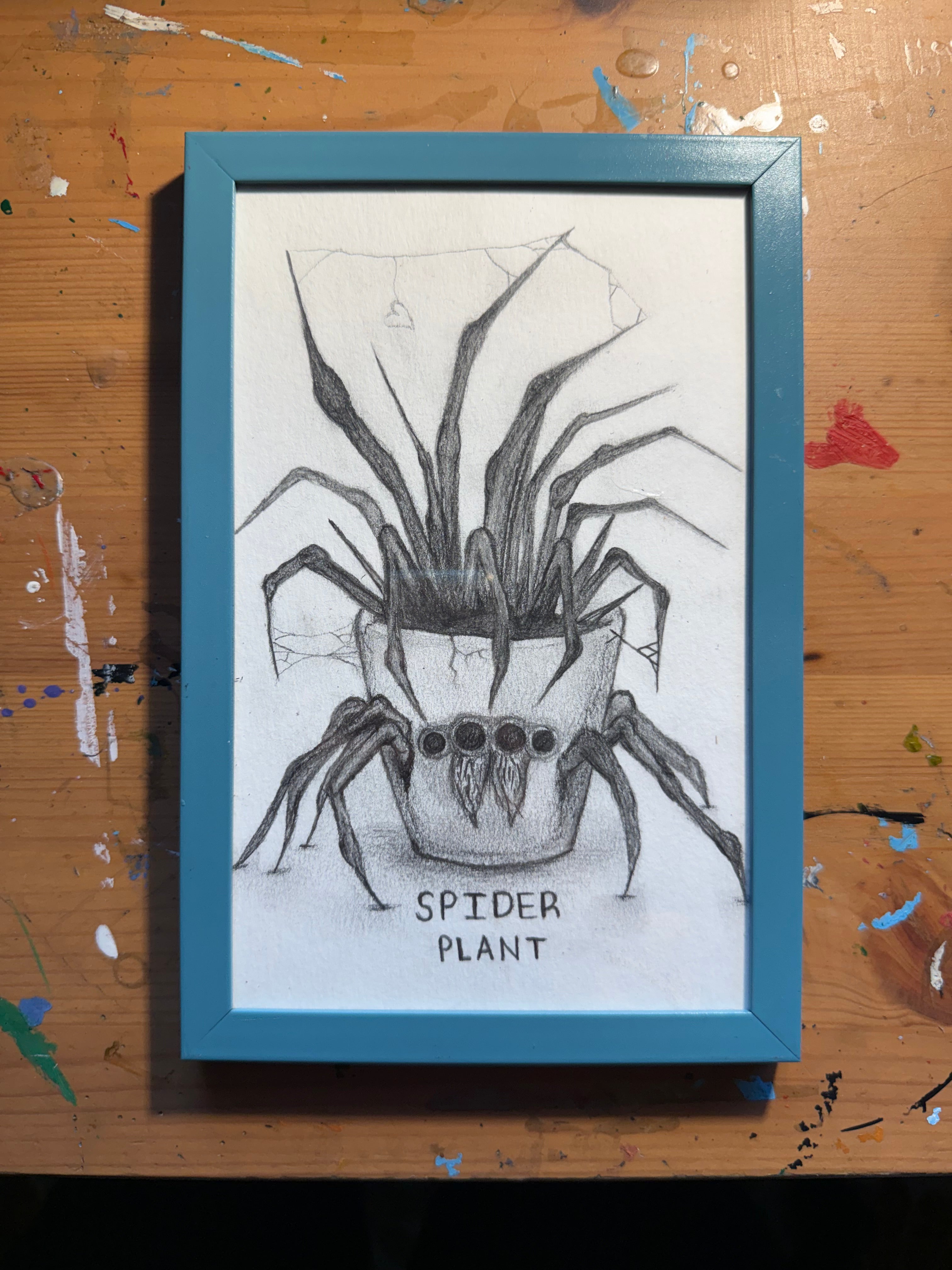 Spider Plant Original Drawing
